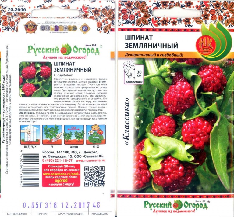 106. Chenopodium Capitatum φακελάκι με σπόρους