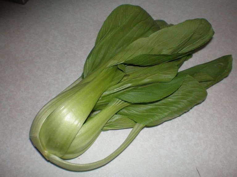 112. Bok Choy