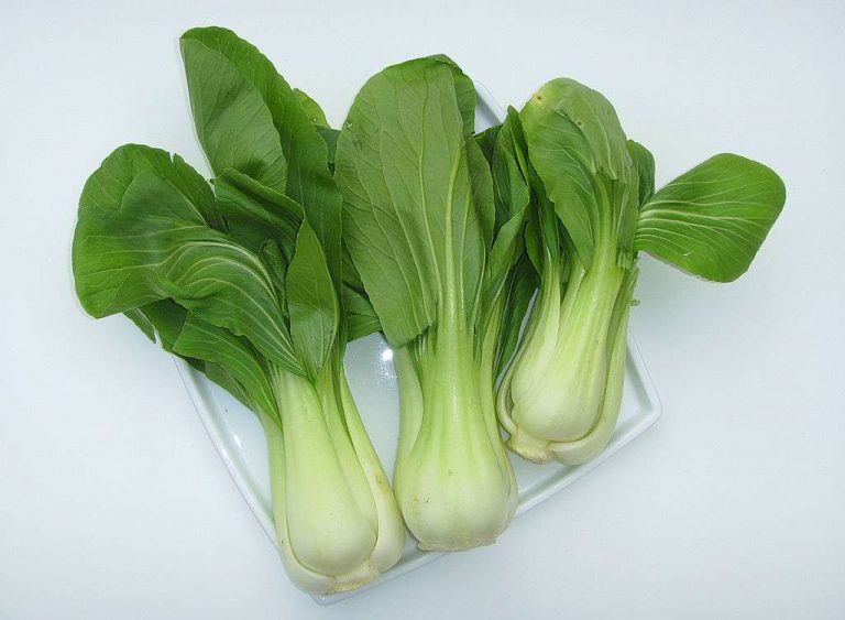 112. Bok Choy