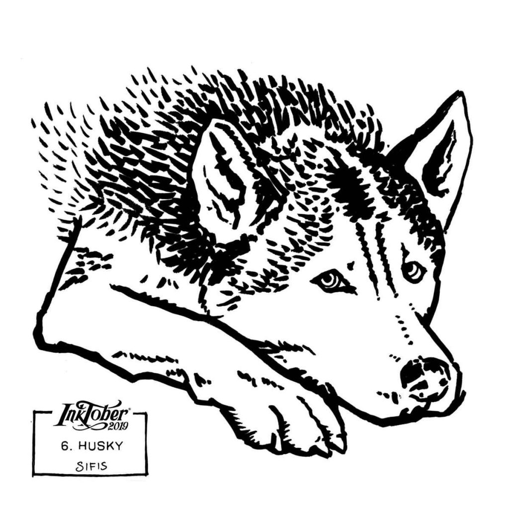 Husky - Brush marker sketch